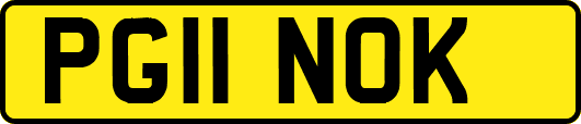 PG11NOK