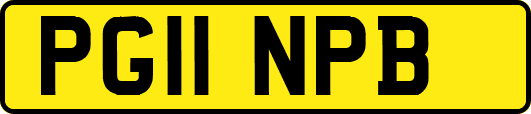 PG11NPB