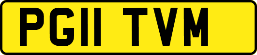 PG11TVM