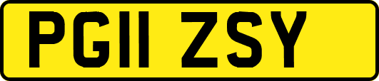 PG11ZSY