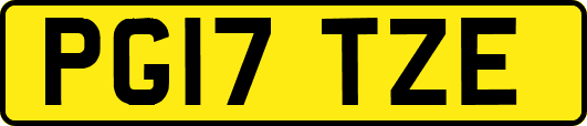 PG17TZE