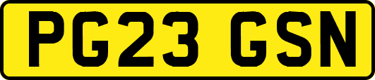 PG23GSN