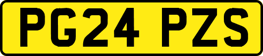 PG24PZS