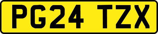 PG24TZX