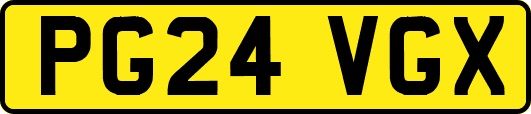PG24VGX