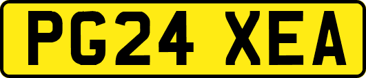 PG24XEA