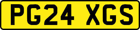 PG24XGS