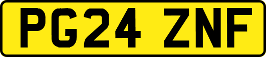 PG24ZNF