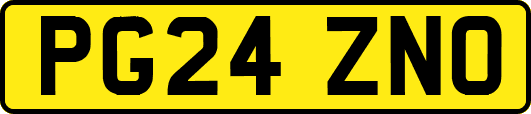 PG24ZNO