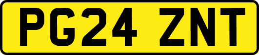PG24ZNT