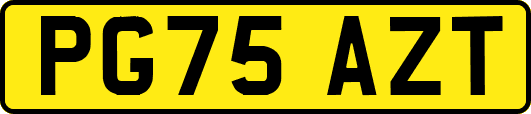 PG75AZT