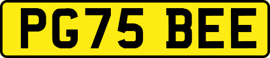 PG75BEE