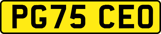PG75CEO