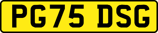 PG75DSG