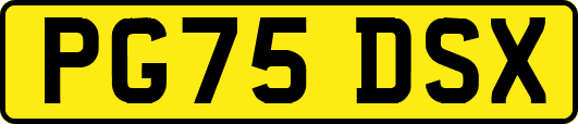 PG75DSX