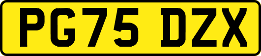 PG75DZX
