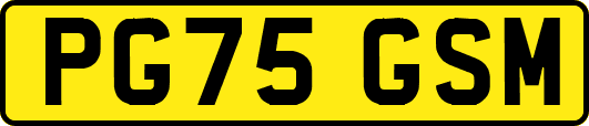 PG75GSM