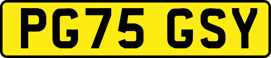 PG75GSY