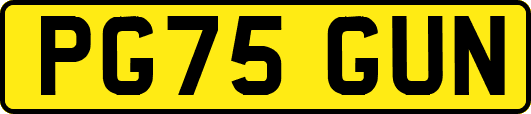 PG75GUN