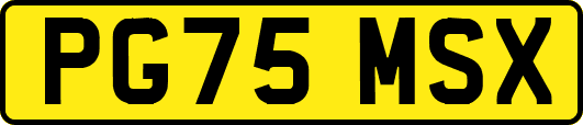 PG75MSX