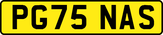 PG75NAS