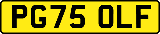 PG75OLF
