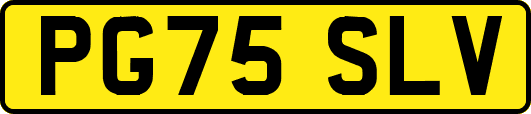 PG75SLV