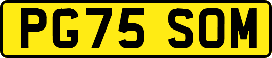 PG75SOM
