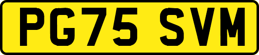 PG75SVM