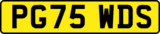 PG75WDS