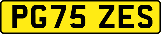 PG75ZES