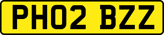 PH02BZZ