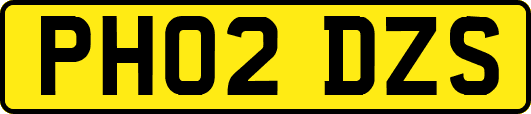 PH02DZS