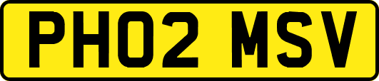 PH02MSV
