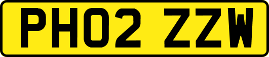PH02ZZW