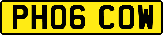 PH06COW