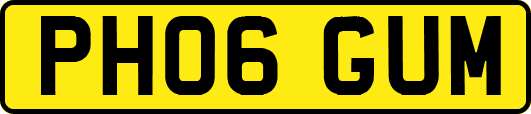 PH06GUM