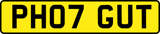 PH07GUT