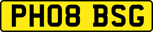PH08BSG