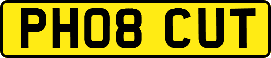 PH08CUT