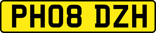 PH08DZH