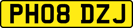 PH08DZJ