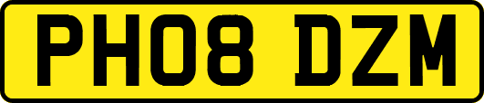 PH08DZM