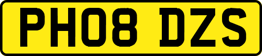 PH08DZS