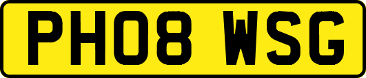PH08WSG