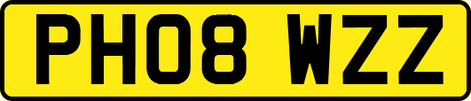 PH08WZZ
