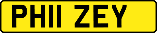 PH11ZEY