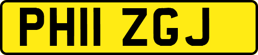 PH11ZGJ