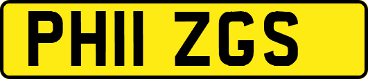 PH11ZGS