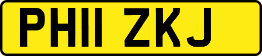 PH11ZKJ